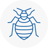 Bed Bug Extermination In Earls Barton
