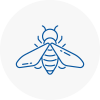 Bee Nest Removal Earls Barton