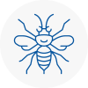 Earls Barton Hornet Nest Removals