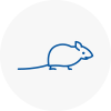 Mice Exterminators In Earls Barton