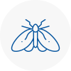 Moth Control Specialists In Earls Barton