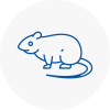 Rat Control Earls Barton