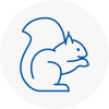 Earls Barton Rodent Removals